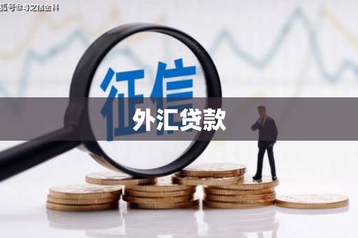 上城外汇贷款