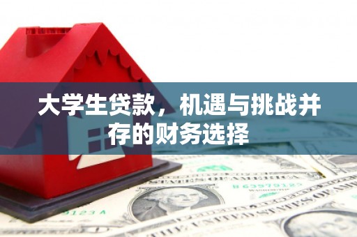 上城大学生贷款，机遇与挑战并存的财务选择
