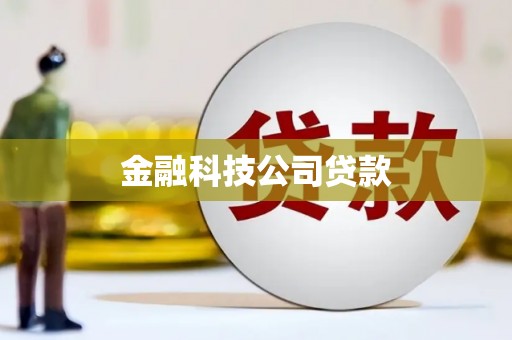 上城金融科技公司贷款
