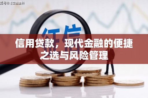 上城信用贷款，现代金融的便捷之选与风险管理