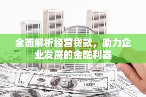上城全面解析经营贷款，助力企业发展的金融利器