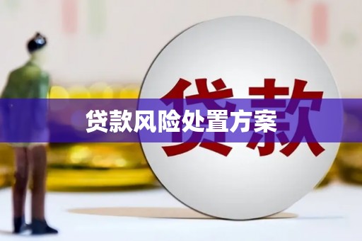上城贷款风险处置方案
