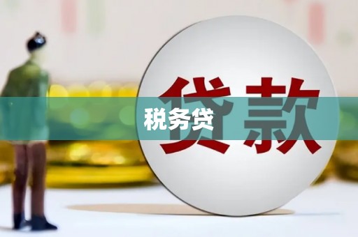 上城税务贷