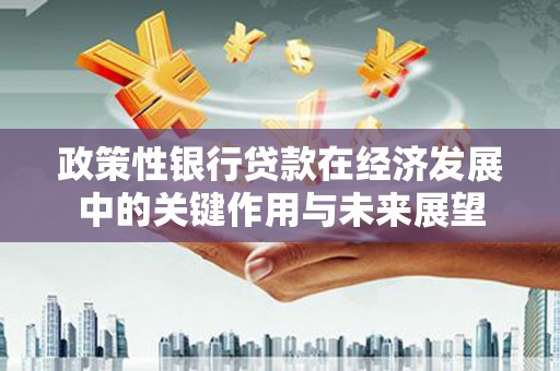 上城政策性银行贷款在经济发展中的关键作用与未来展望