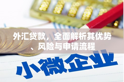 上城外汇贷款，全面解析其优势、风险与申请流程