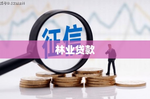 上城林业贷款
