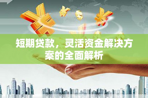 上城短期贷款，灵活资金解决方案的全面解析