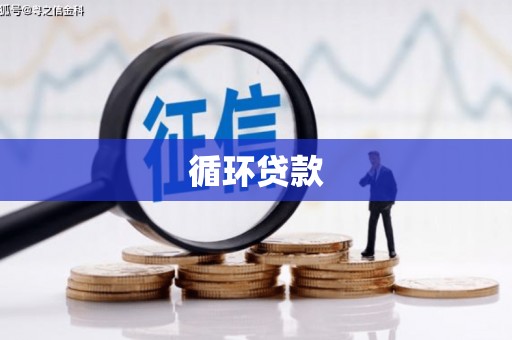 上城循环贷款