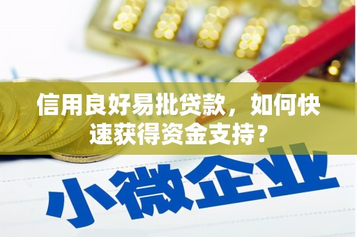 上城信用良好易批贷款，如何快速获得资金支持？
