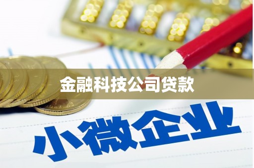 上城金融科技公司贷款