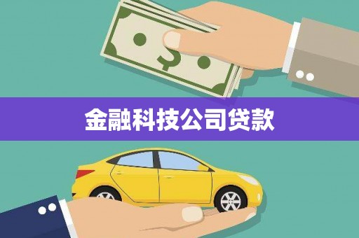 上城金融科技公司贷款