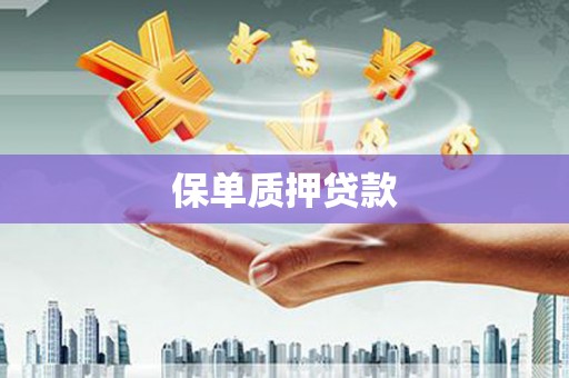 上城保单质押贷款