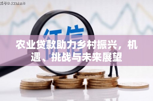 上城农业贷款助力乡村振兴，机遇、挑战与未来展望