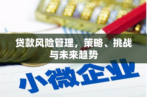 上城贷款风险管理，策略、挑战与未来趋势