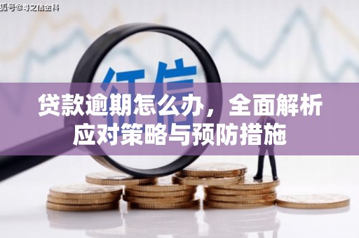 上城贷款逾期怎么办，全面解析应对策略与预防措施