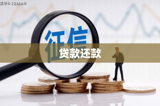上城贷款还款