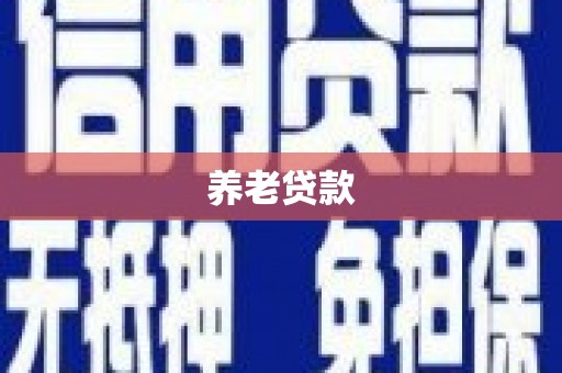 上城养老贷款