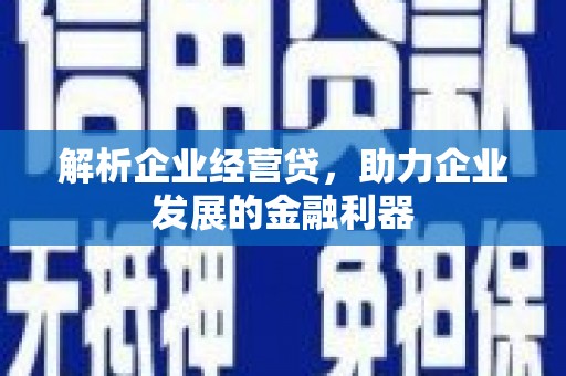 上城解析企业经营贷，助力企业发展的金融利器