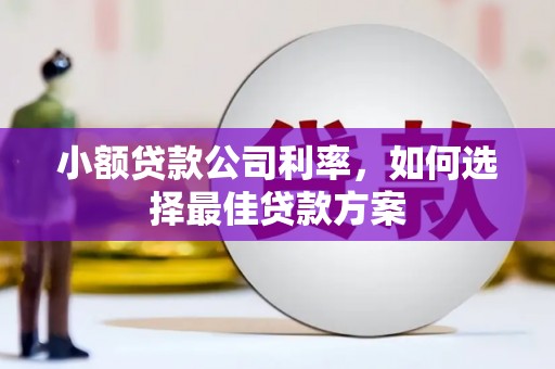上城小额贷款公司利率，如何选择最佳贷款方案