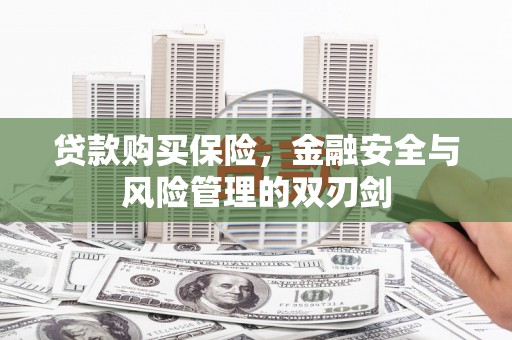 上城贷款购买保险，金融安全与风险管理的双刃剑