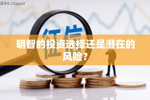 上城明智的投资选择还是潜在的风险？