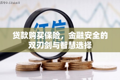 上城贷款购买保险，金融安全的双刃剑与智慧选择