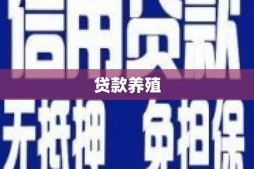 上城贷款养殖