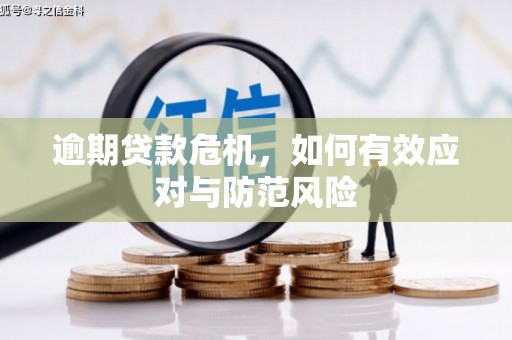 上城逾期贷款危机，如何有效应对与防范风险