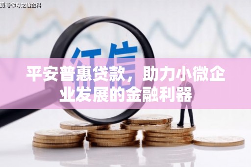 上城平安普惠贷款，助力小微企业发展的金融利器