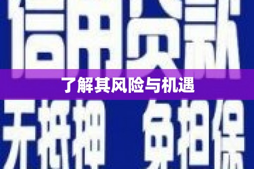 上城了解其风险与机遇
