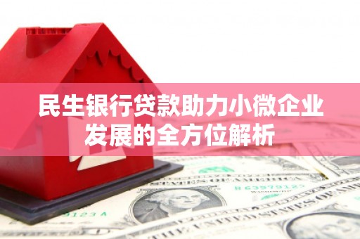 上城民生银行贷款助力小微企业发展的全方位解析
