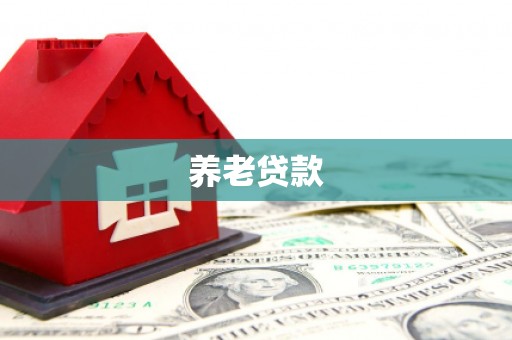 上城养老贷款