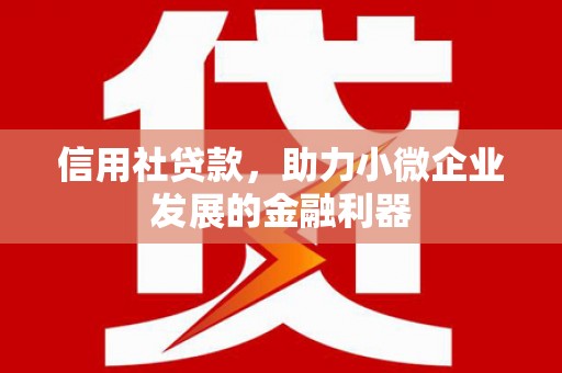 上城信用社贷款，助力小微企业发展的金融利器