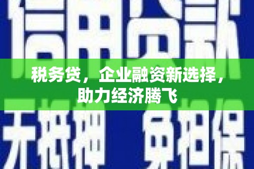 上城税务贷，企业融资新选择，助力经济腾飞