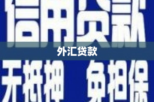 上城外汇贷款