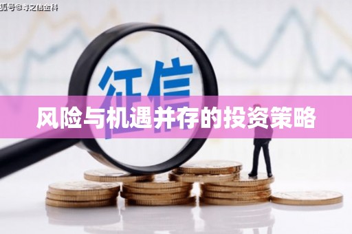 上城风险与机遇并存的投资策略
