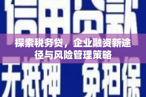 上城探索税务贷，企业融资新途径与风险管理策略