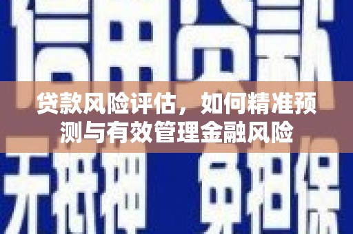 上城贷款风险评估，如何精准预测与有效管理金融风险