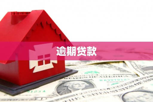 上城逾期贷款
