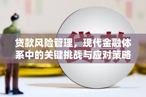 上城贷款风险管理，现代金融体系中的关键挑战与应对策略