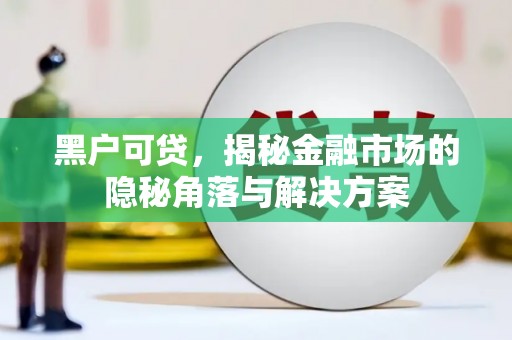 上城黑户可贷，揭秘金融市场的隐秘角落与解决方案