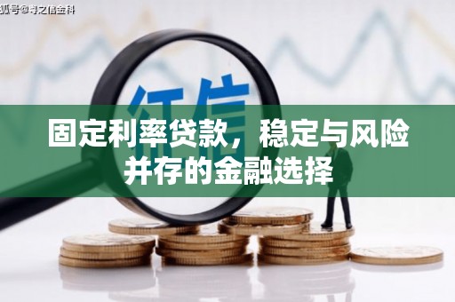 上城固定利率贷款，稳定与风险并存的金融选择