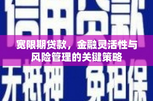 上城宽限期贷款，金融灵活性与风险管理的关键策略