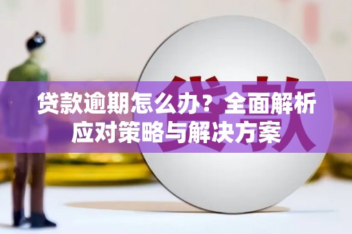 上城贷款逾期怎么办？全面解析应对策略与解决方案