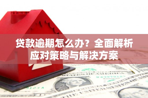 上城贷款逾期怎么办？全面解析应对策略与解决方案