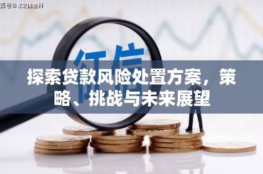 上城探索贷款风险处置方案，策略、挑战与未来展望