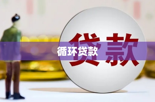 上城循环贷款
