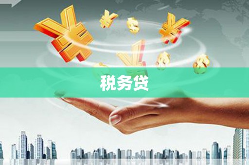 上城税务贷