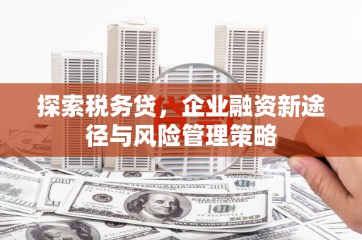 上城探索税务贷，企业融资新途径与风险管理策略