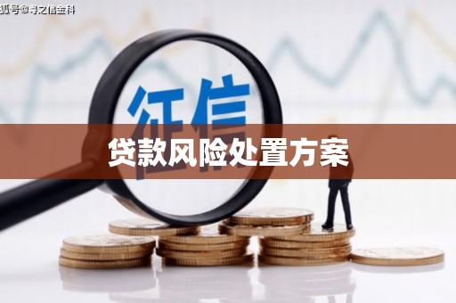 上城贷款风险处置方案